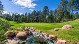 Chaparral Pines