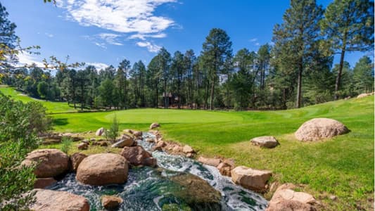 Chaparral Pines
