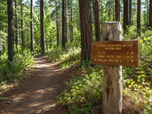 Railroad Tunnel Trail start