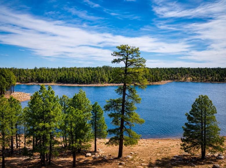 Willow Springs Lake scene