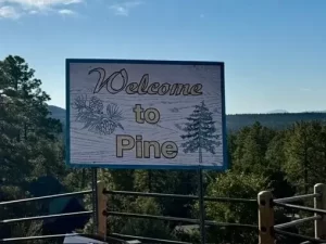 Welcome to Pine sign with pine trees and blue sky