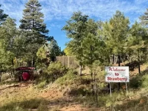 Welcome signs among the trees in Strawberry Arizona